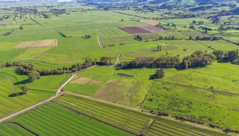 134 and 14 Station Road, Puriri
