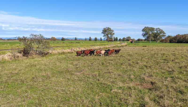 134 and 14 Station Road, Puriri