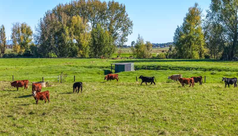 134 and 14 Station Road, Puriri