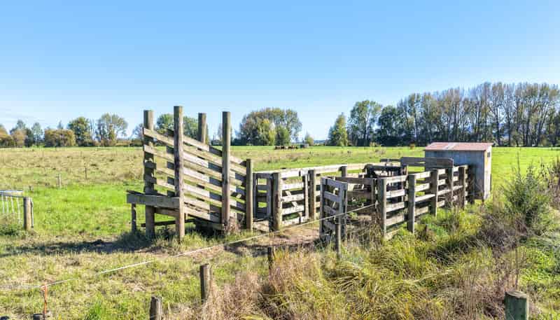 134 and 14 Station Road, Puriri