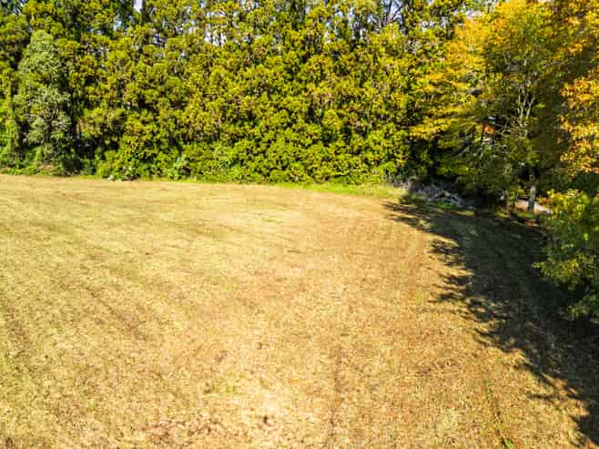 Lot 1/26 Tanekaha Lane, Kerikeri