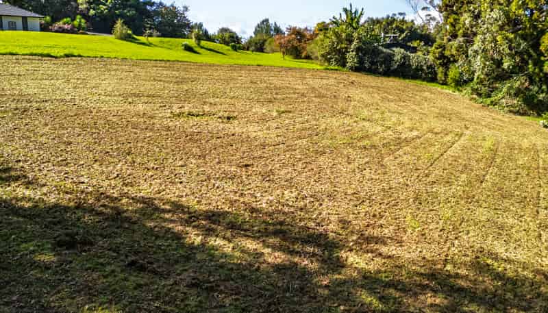 Lot 1/26 Tanekaha Lane, Kerikeri