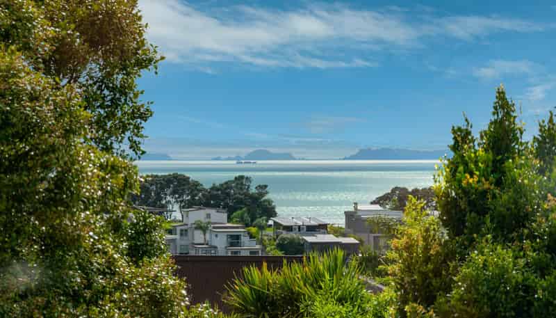 91  Braemar Road, Castor Bay