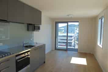 303/8 Wigan Street, Wellington Central