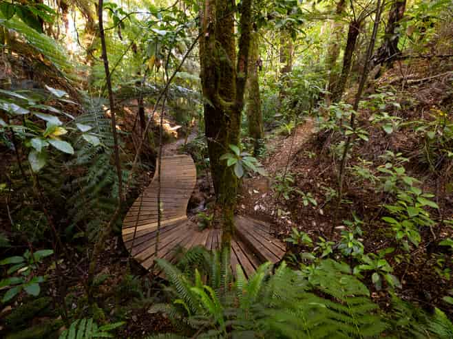 22 Herring Stream Road, Motueka Valley