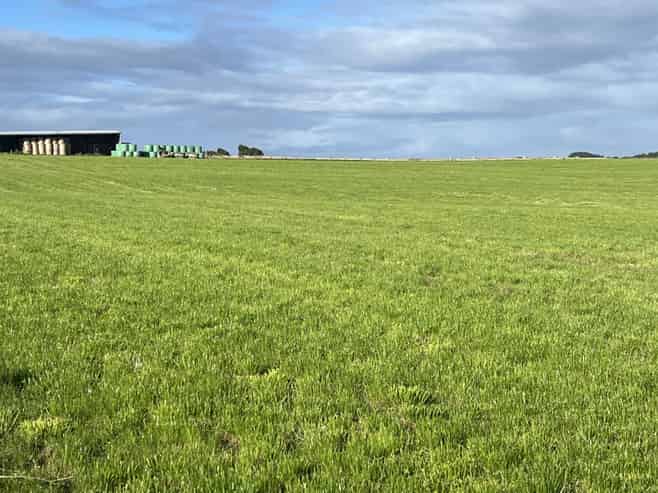 62 Blondell Road, Waimatua