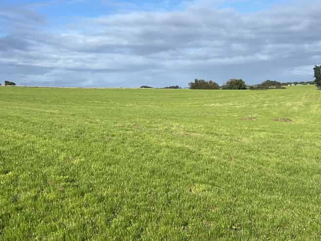 62 Blondell Road, Waimatua
