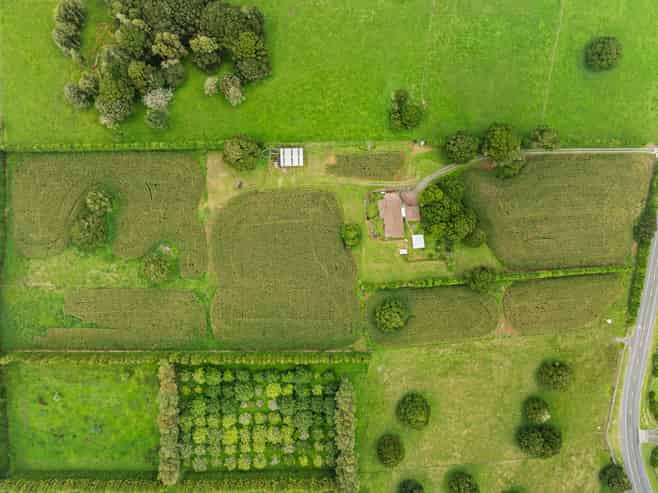 Lot 1/397 Three Mile Bush Road, Kamo