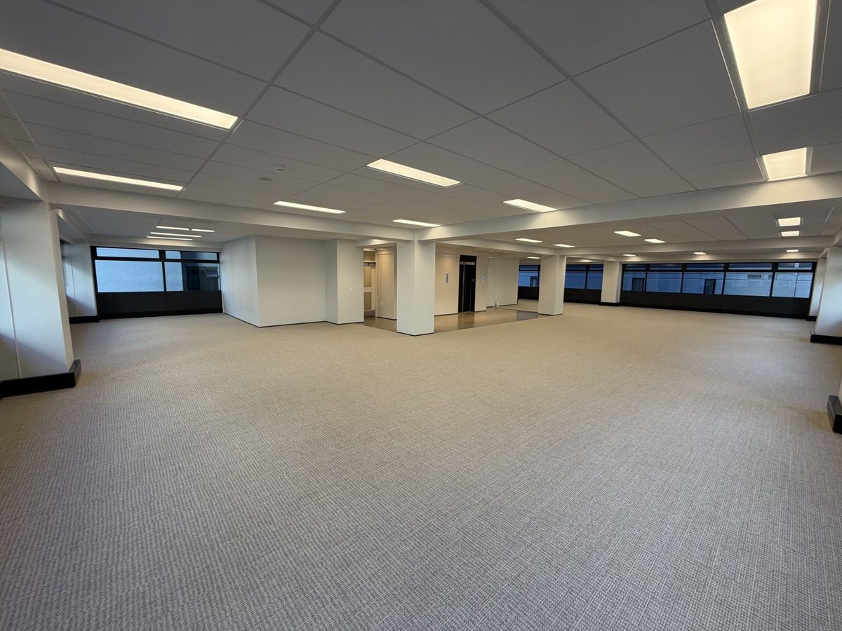 CBD Whole Floor - 292.7 sqm - Ansicht 3