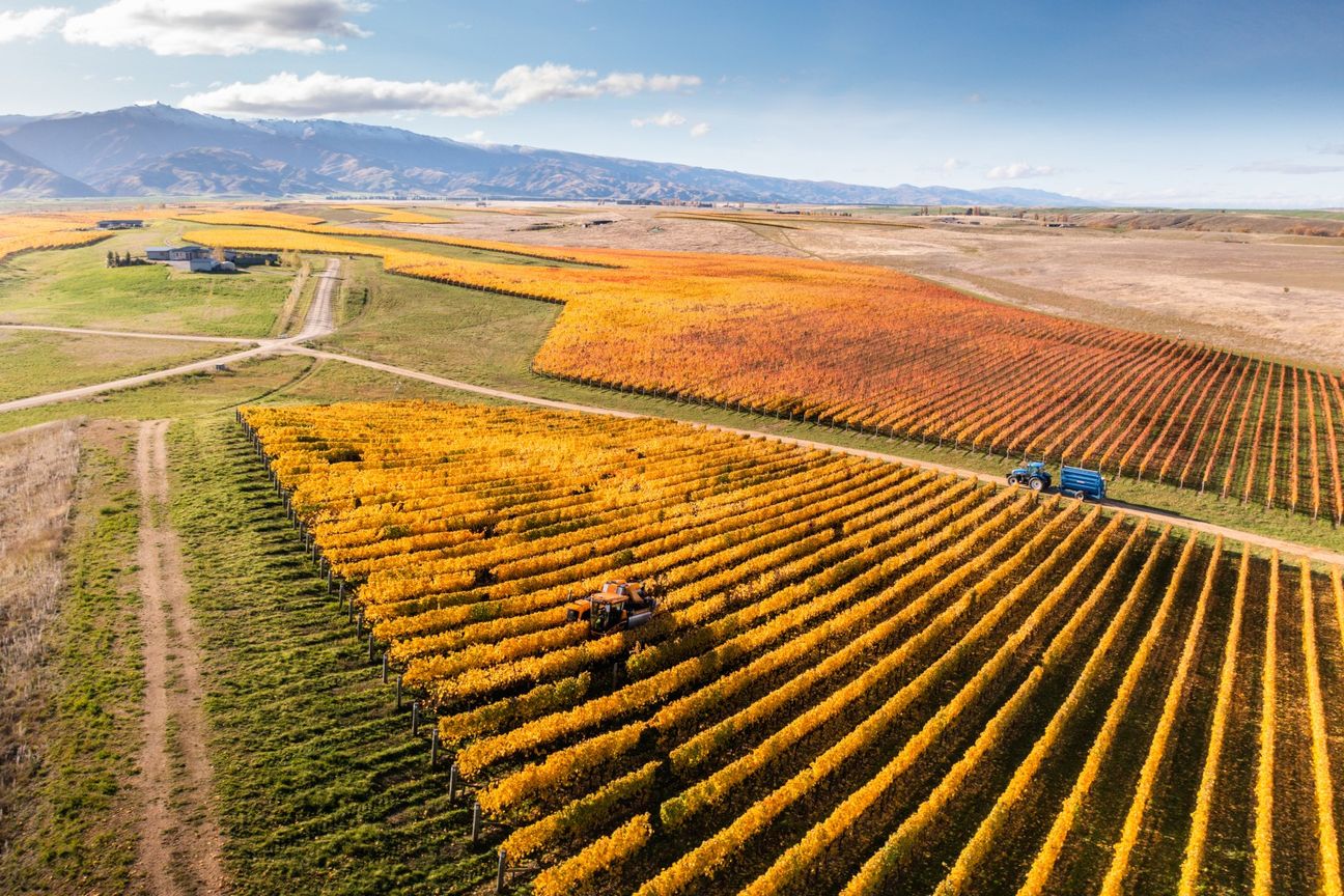 A Lifestyle Dream Among the Vines - Aanzicht 6