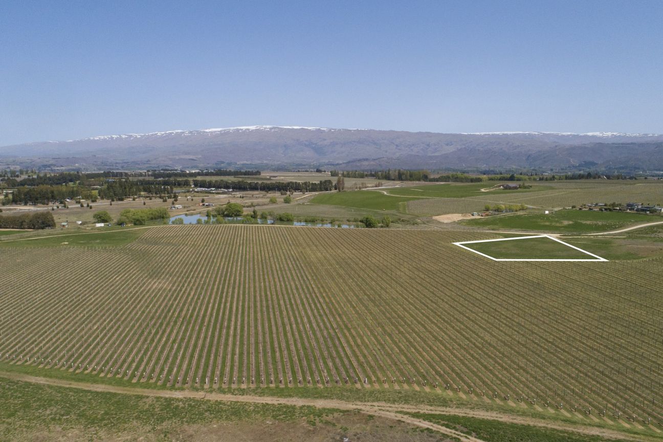 A Lifestyle Dream Among the Vines - Aanzicht 4