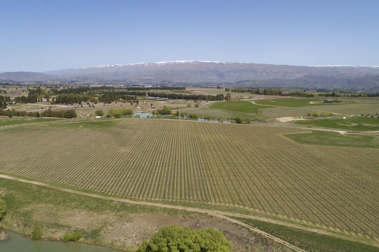 A Lifestyle Dream Among the Vines - Aanzicht 5