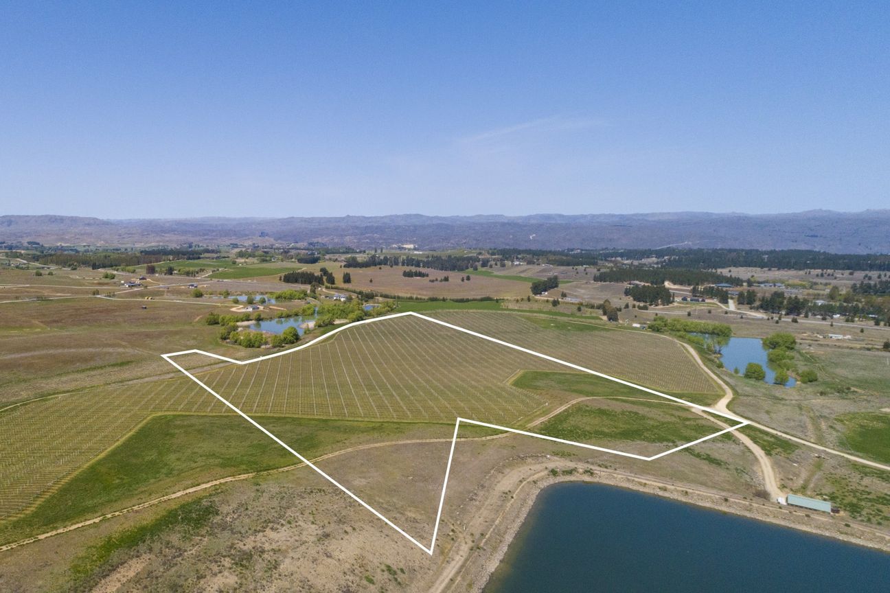 A Lifestyle Dream Among the Vines - Aanzicht 2