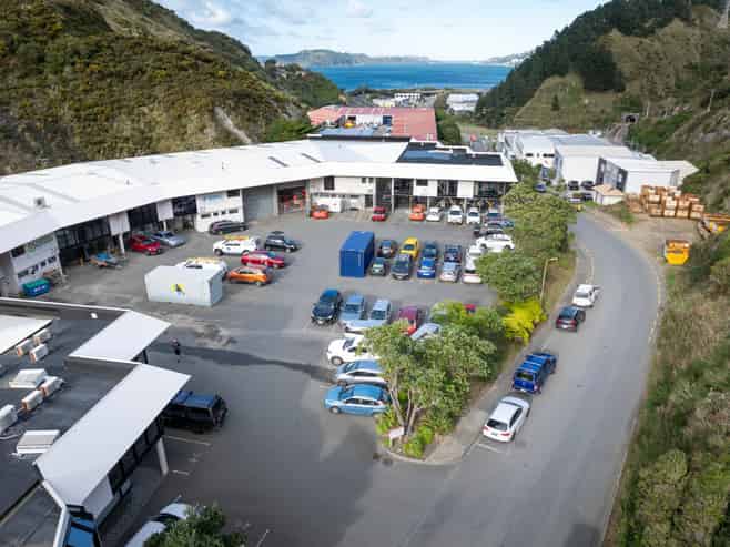 Dual‑Income Industrial Property in Ngauranga