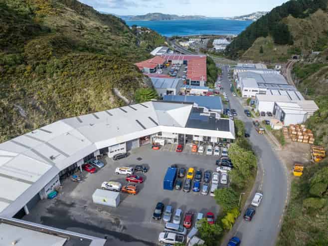 Dual‑Income Industrial Property in Ngauranga