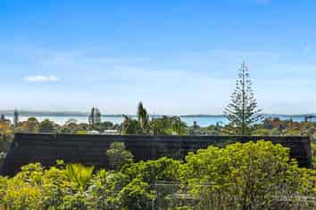 29A Little Barrier Avenue, Manly