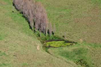 277 Quarry Road, Awanui
