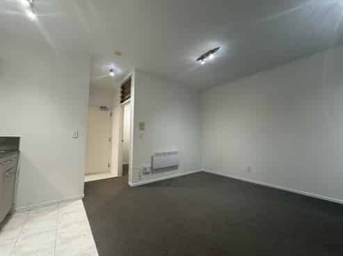 1C/10 Crummer Road, Grey Lynn