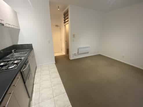 1C/10 Crummer Road, Grey Lynn
