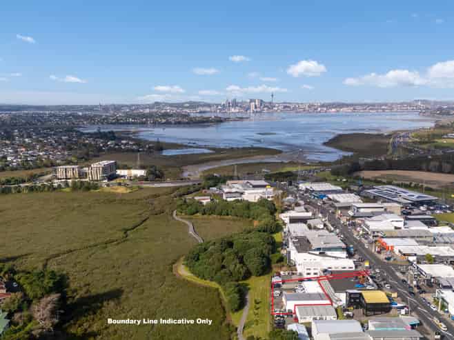 Goldmine on Barrys Point