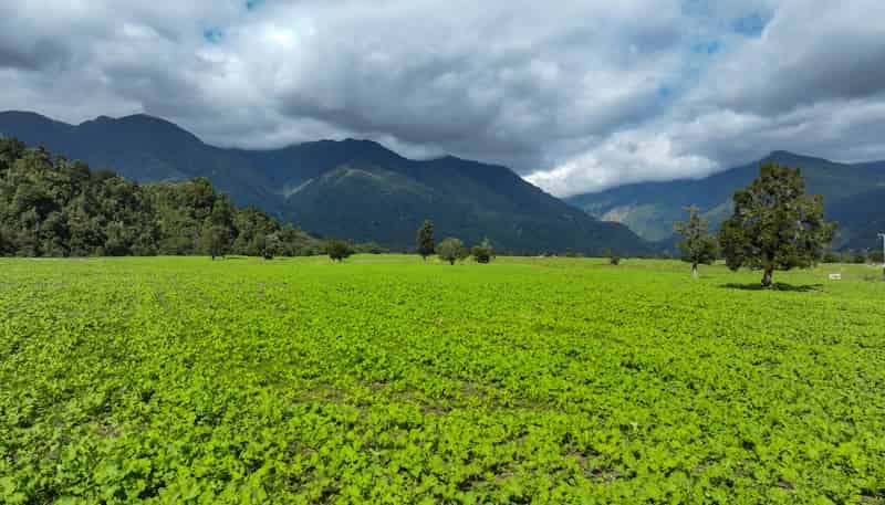 217 Poerua Valley Road, Harihari