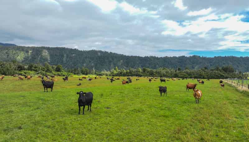 217 Poerua Valley Road, Harihari