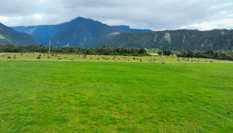 217 Poerua Valley Road, Harihari