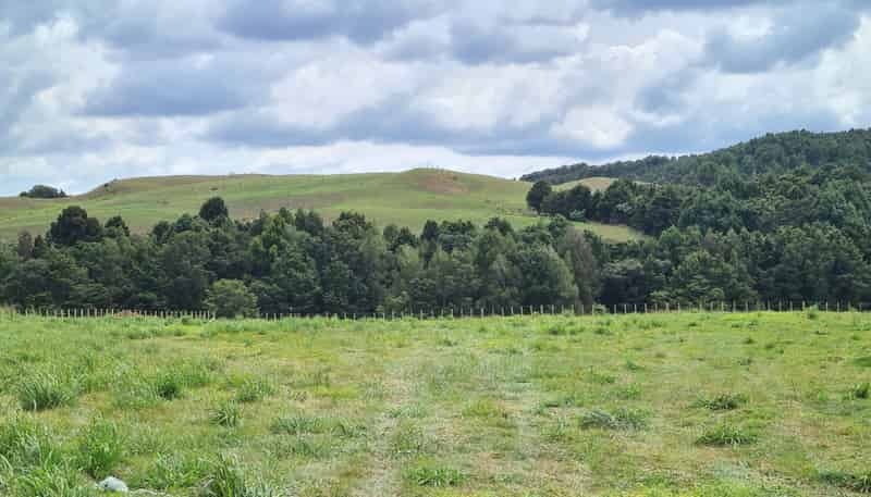  Dodd Road, Maungaturoto