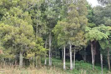  Dodd Road, Maungaturoto