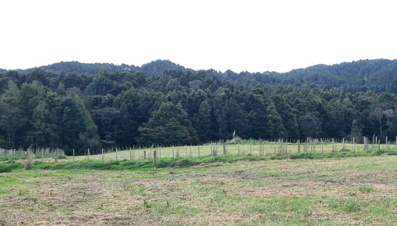  Dodd Road, Maungaturoto