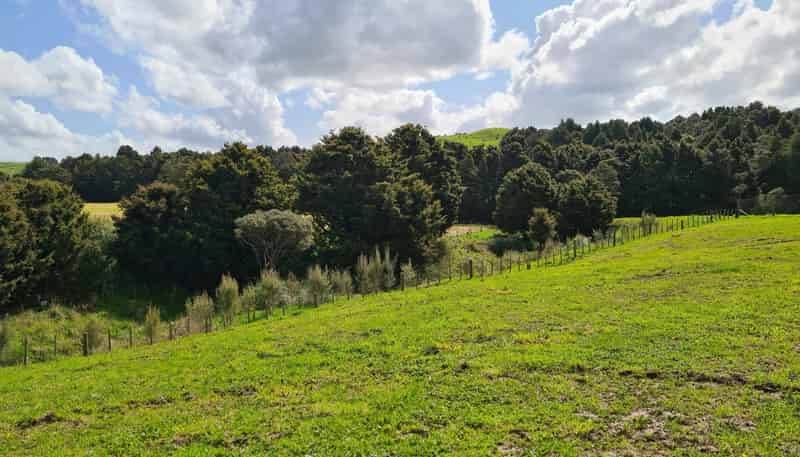  Dodd Road, Maungaturoto