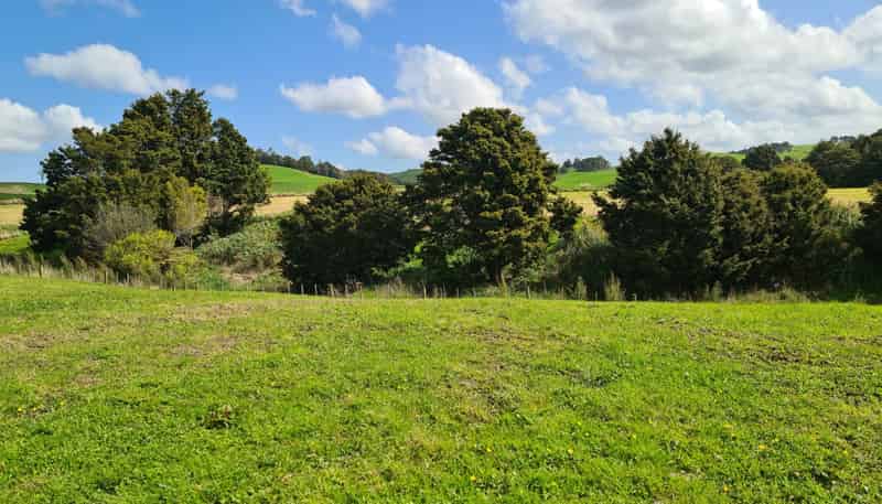  Dodd Road, Maungaturoto