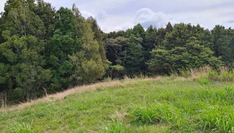  Dodd Road, Maungaturoto
