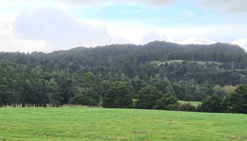  Dodd Road, Maungaturoto