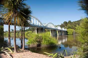 10 Lyn Reta Way, Tuakau