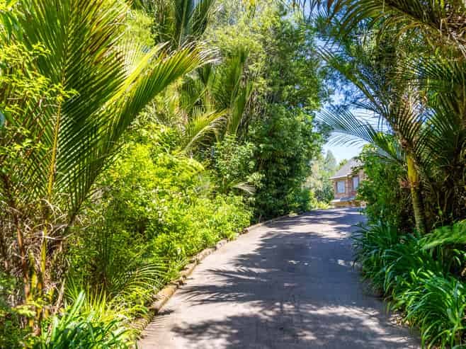 251 Whitehills Road, Wainui