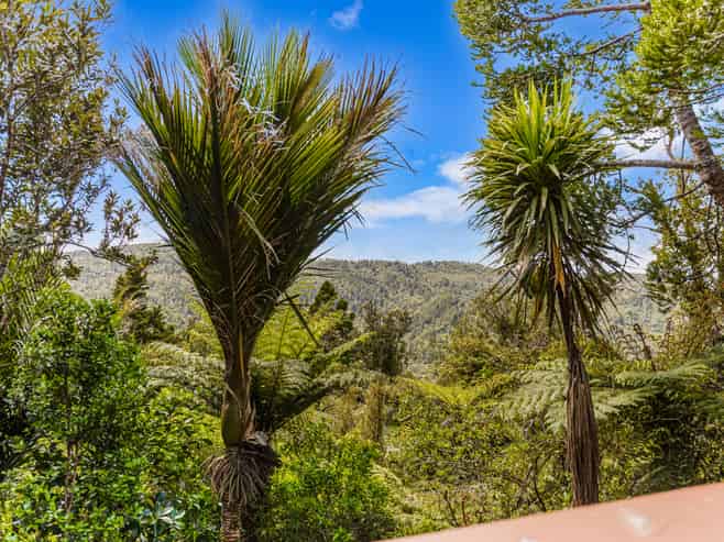 19 Te Aute Ridge Road, Bethells Beach