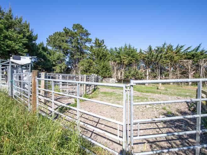 270 Downs Road, Cheviot