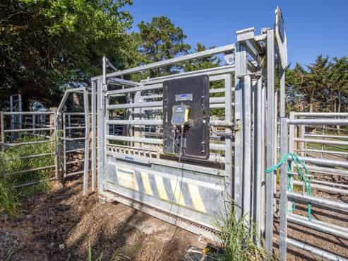 270 Downs Road, Cheviot