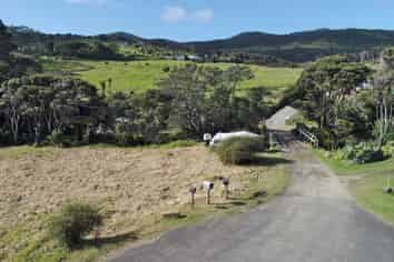 19 Garden Road, Great Barrier Island (Aotea Island)
