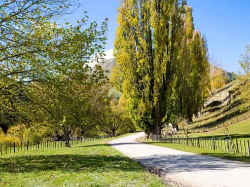 81 MacKenzie Road, Kahuranaki