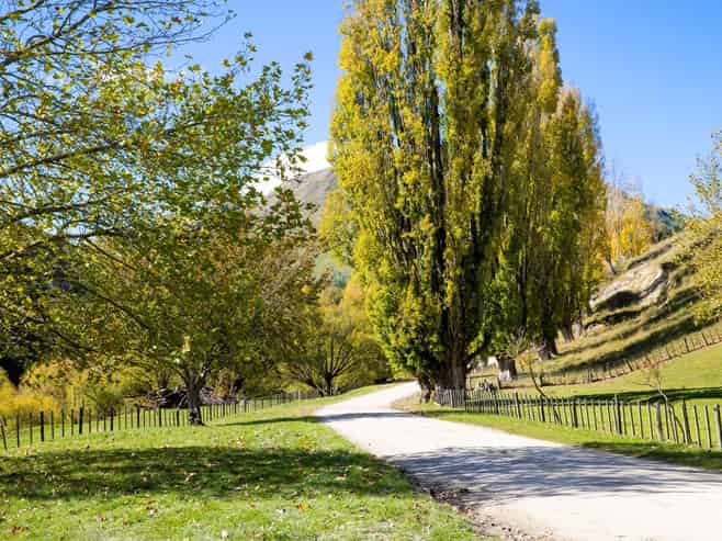 81 MacKenzie Road, Kahuranaki
