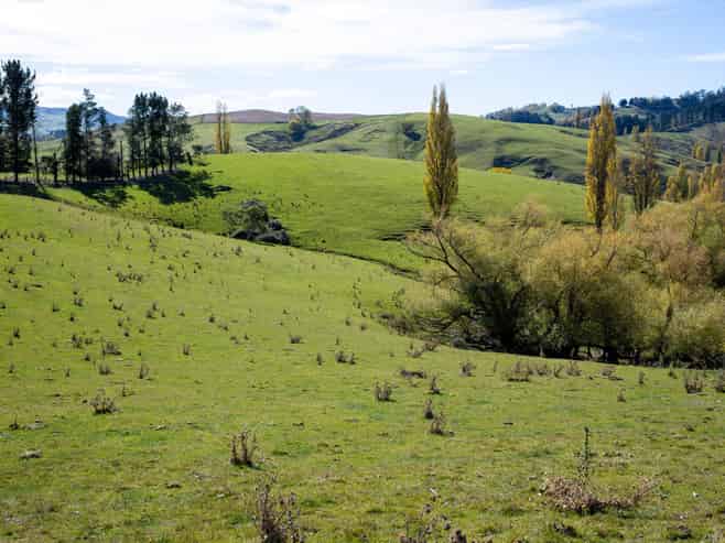 81 MacKenzie Road, Kahuranaki
