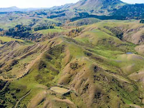 81 MacKenzie Road, Kahuranaki