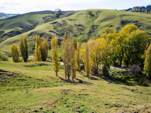 81 MacKenzie Road, Kahuranaki