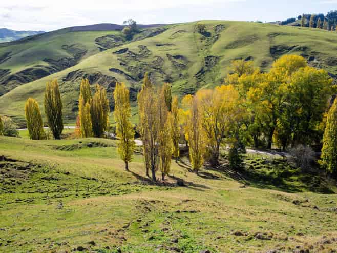 81 MacKenzie Road, Kahuranaki