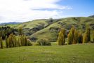 81 Mackenzie Road, Havelock North, Hastings, Hawkes Bay