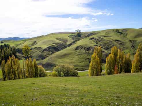 81 MacKenzie Road, Kahuranaki