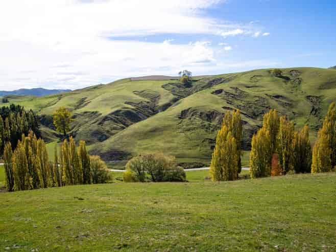 81 MacKenzie Road, Kahuranaki