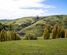 81 Mackenzie Road, Havelock North, Hastings, Hawkes Bay